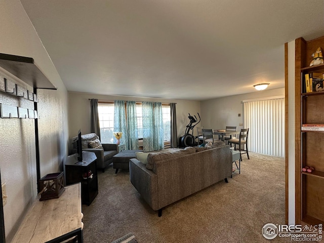 910 H Ave, Limon, CO 80828 - living area with carpet floors and a wood stove