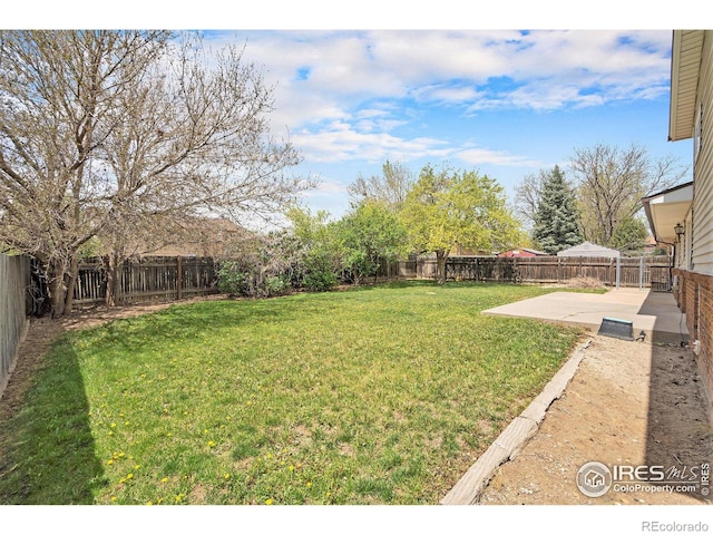 view of yard with a fenced backyard and a patio area