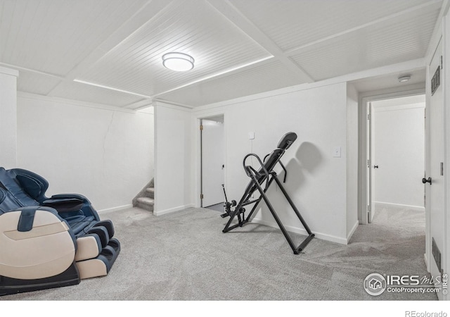 113 Balsam St, Fort Morgan, CO 80701 - workout area featuring carpet flooring and baseboards