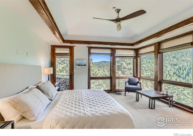 2307 Magnolia Dr, Nederland, CO 80466 - bedroom featuring carpet and a tray ceiling