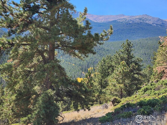 13729 Pingree Park Rd, Bellvue, CO 80512