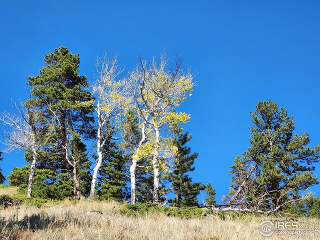 13729 Pingree Park Rd, Bellvue, CO 80512