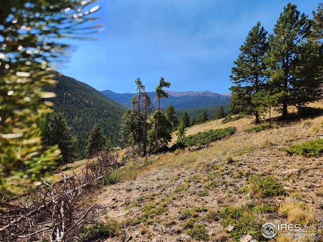 13729 Pingree Park Rd, Bellvue, CO 80512