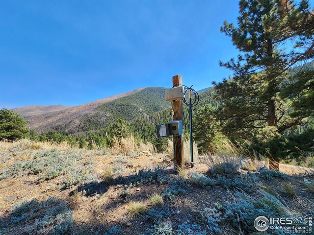 13729 Pingree Park Rd, Bellvue, CO 80512