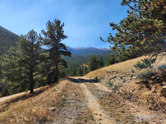 13729 Pingree Park Rd, Bellvue, CO 80512