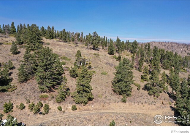 13729 Pingree Park Rd, Bellvue, CO 80512