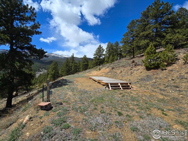 13729 Pingree Park Rd, Bellvue, CO 80512