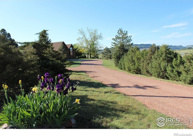 80 Juniper Ridge Rd, Laporte, CO 80535 - photo 1