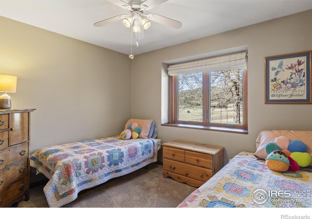 80 Juniper Ridge Rd, Laporte, CO 80535 - photo 14