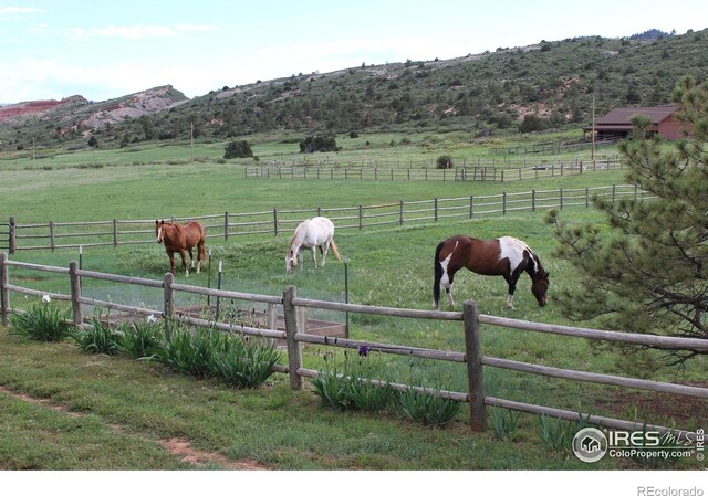 80 Juniper Ridge Rd, Laporte, CO 80535 - photo 29