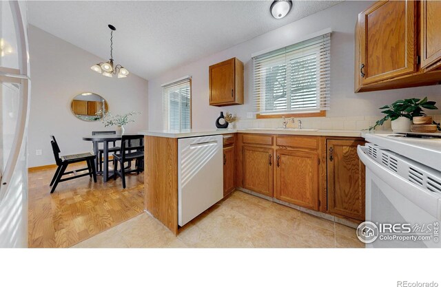 kitchen with a sink, brown cabinets, a wealth of natural light, and white appliances