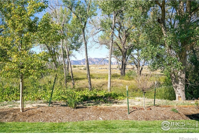 view of yard with a mountain view