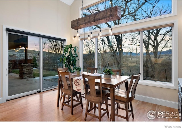 dining room featuring baseboards, a towering ceiling, and wood finished floors