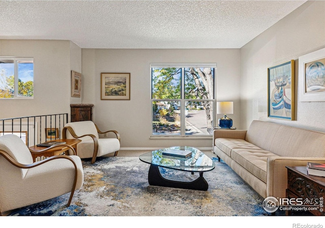 carpeted living room with a textured ceiling and a wealth of natural light