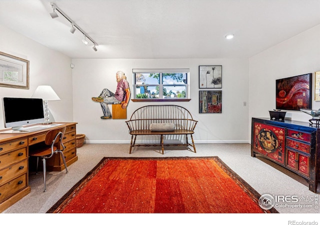 interior space with track lighting, carpet floors, and baseboards