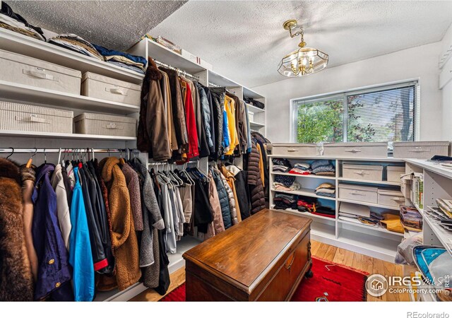 spacious closet with wood finished floors