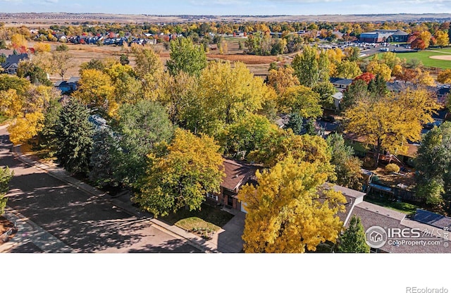 bird's eye view