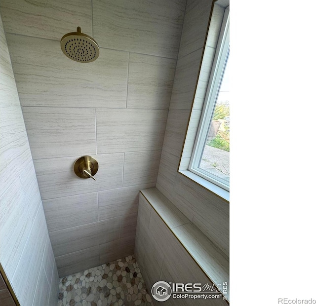 2221 E 84th Ave, Denver, CO 80229 - bathroom featuring a tile shower
