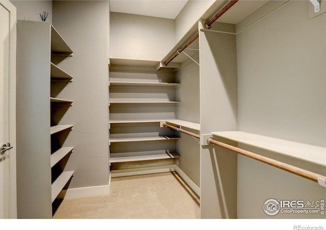 2624 S Race St, Denver, CO 80210 - spacious closet featuring light carpet