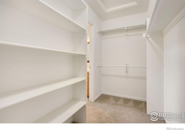 2120 Timber Creek Dr Unit H4, Fort Collins, CO 80528 - walk in closet featuring carpet flooring