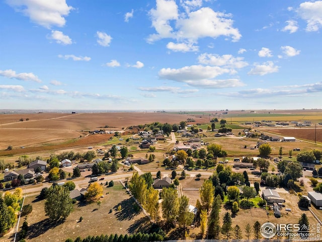 381 Bobcat Dr, Milliken, CO 80543 - photo 35