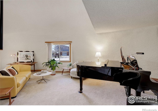 6611 Lakeview Dr, Boulder, CO 80303 - living area with vaulted ceiling, a textured wall, and carpet flooring