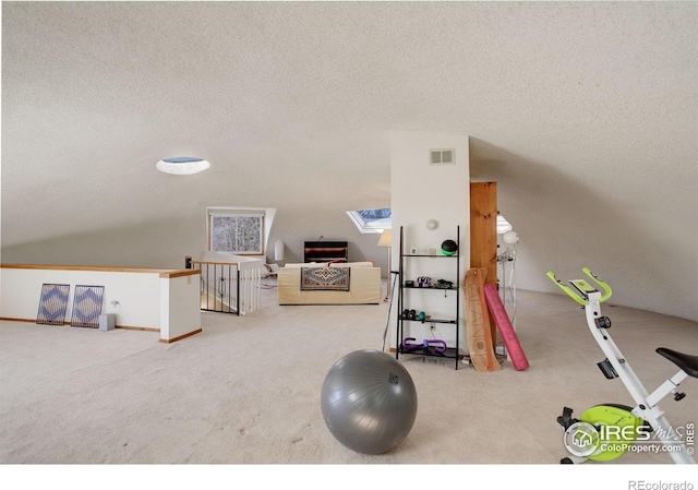 6611 Lakeview Dr, Boulder, CO 80303 - workout room featuring carpet floors, a textured ceiling, and visible vents