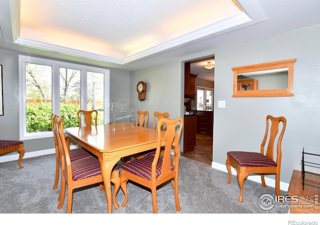 1021 Pinyon Dr, Windsor, CO 80550 - dining room featuring baseboards, a raised ceiling, and light carpet