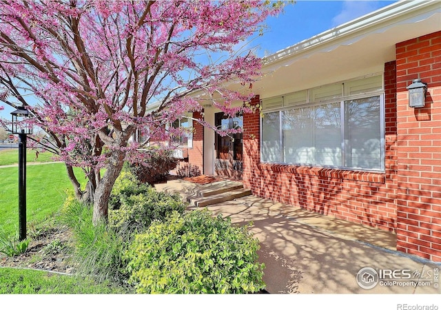 821 36th Ave, Greeley, CO 80634 - doorway to property with brick siding and a lawn
