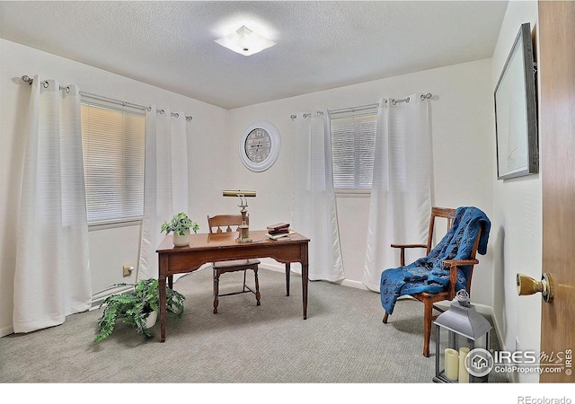 821 36th Ave, Greeley, CO 80634 - office space featuring carpet and a textured ceiling
