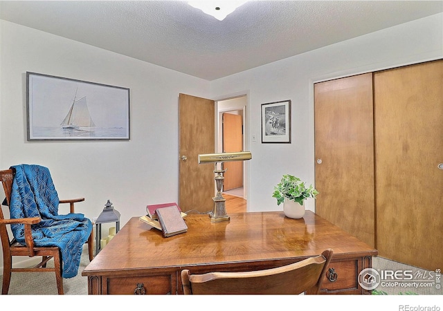821 36th Ave, Greeley, CO 80634 - home office with carpet flooring