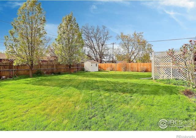 821 36th Ave, Greeley, CO 80634 - view of yard with a shed and an outdoor structure