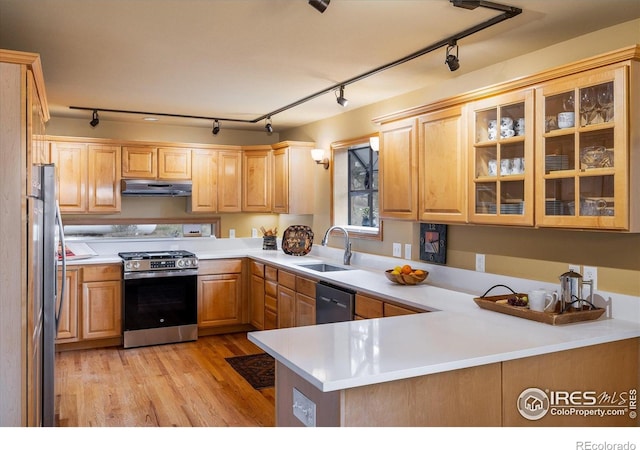 187 Rocky Knob Ln, Nederland, CO 80466 - kitchen with a sink, track lighting, stainless steel appliances, and under cabinet range hood