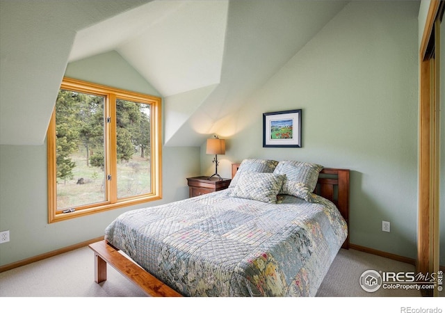187 Rocky Knob Ln, Nederland, CO 80466 - carpeted bedroom with baseboards and vaulted ceiling