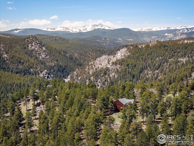 187 Rocky Knob Ln, Nederland, CO 80466 - view of mountain feature with a wooded view