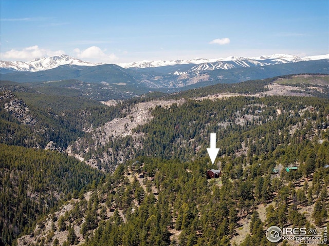 187 Rocky Knob Ln, Nederland, CO 80466 - property view of mountains with a wooded view
