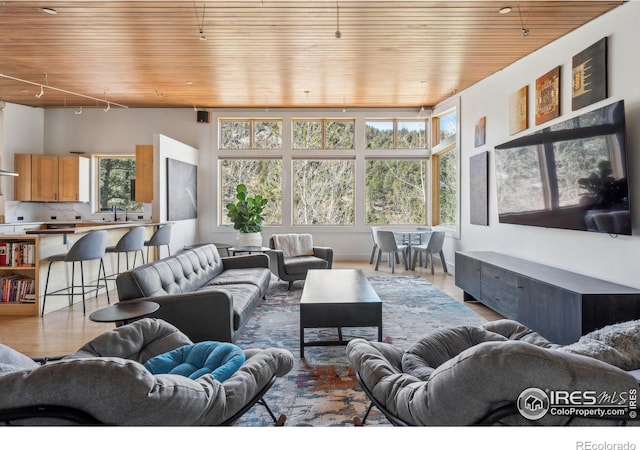 1127 Valley Ln, Boulder, CO 80302 - living room with track lighting, a healthy amount of sunlight, and wood ceiling