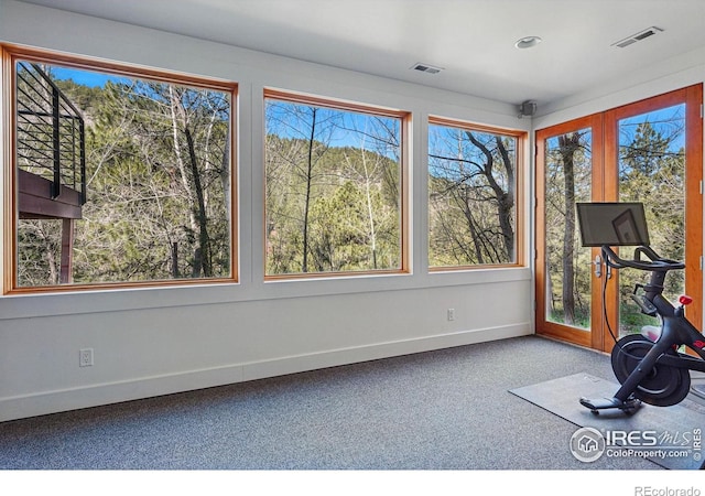 1127 Valley Ln, Boulder, CO 80302 - workout area with carpet floors, baseboards, and visible vents