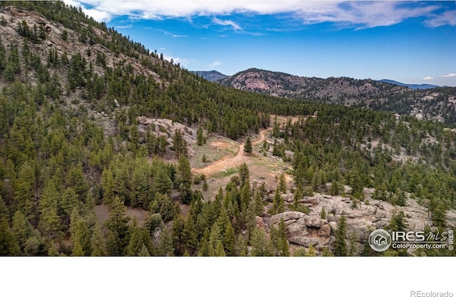 12724 N Saint Vrain Dr, Lyons, CO 80540 - photo 20