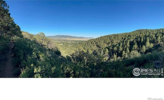 12724 N Saint Vrain Dr, Lyons, CO 80540 - photo 1