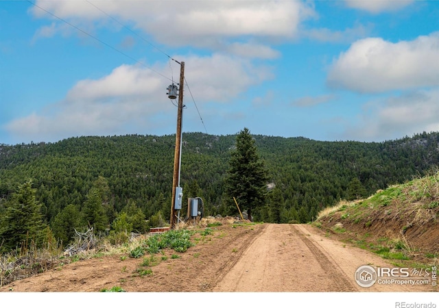 12724 N Saint Vrain Dr, Lyons, CO 80540 - photo 5