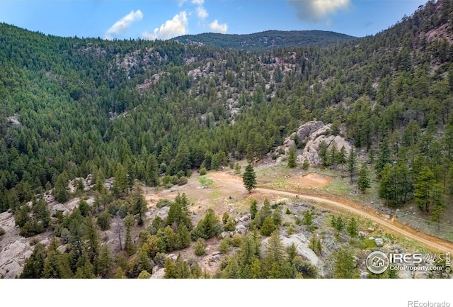 12724 N Saint Vrain Dr, Lyons, CO 80540 - photo 18