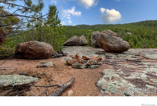 12724 N Saint Vrain Dr, Lyons, CO 80540 - photo 24