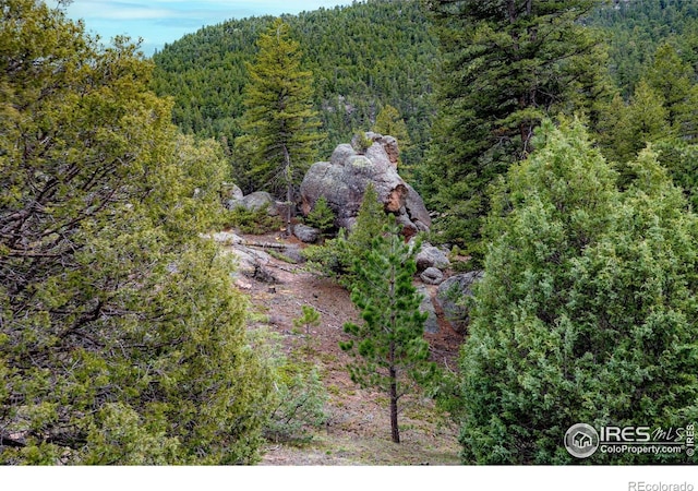 12724 N Saint Vrain Dr, Lyons, CO 80540 - photo 33