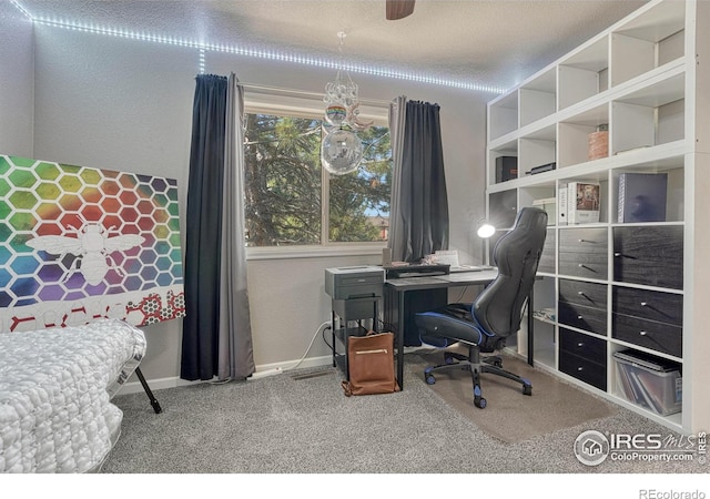 150 Lori Dr, Loveland, CO 80537 - view of carpeted office space