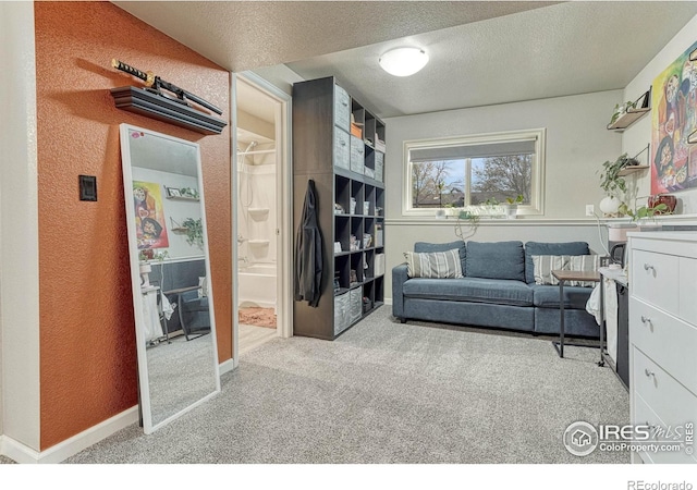 150 Lori Dr, Loveland, CO 80537 - interior space featuring baseboards, a textured ceiling, and a textured wall