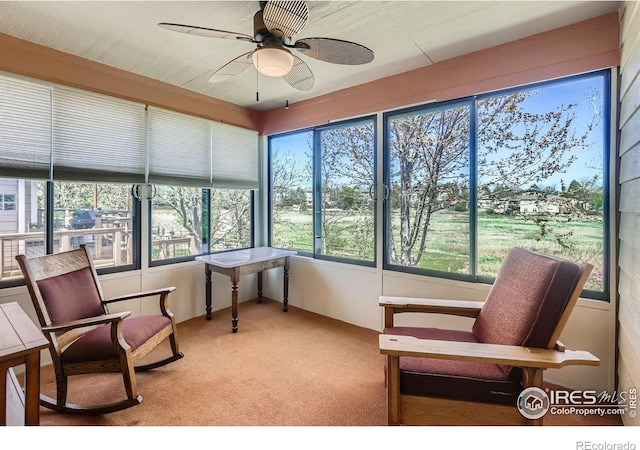 sunroom with carpet flooring and ceiling fan