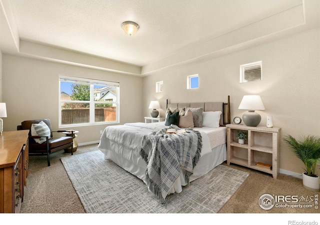 1693 Maseca Plaza Way, Severance, CO 80550 - carpeted bedroom with baseboards