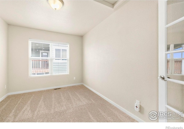 1693 Maseca Plaza Way, Severance, CO 80550 - carpeted empty room with healthy amount of natural light and baseboards