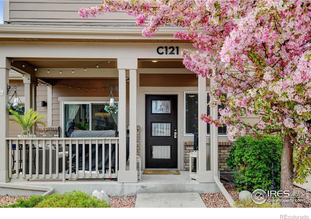 2608 Kansas Dr Unit 121, Fort Collins, CO 80525